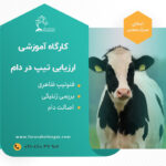 ارزیابی تیپ و کاتالوگ خوانی در دام