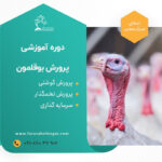 دوره بوقلمون