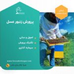 زنبورعسل