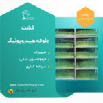 کشت علوفه هیدروپونیک