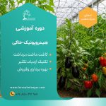 کارگاه آموزشی کشت گلخانه هیدروپونیک خاکی ۴ محصول مهم - Image 2