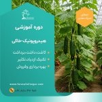 کارگاه آموزشی کشت گلخانه هیدروپونیک خاکی ۴ محصول مهم - Image 3