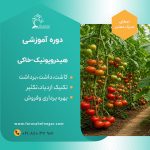 کارگاه آموزشی کشت گلخانه هیدروپونیک خاکی ۴ محصول مهم - Image 4