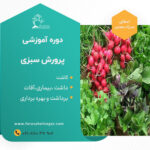 کارگاه آموزشی پرورش سبزی