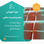 دوره آموزشی اصول حمل و نقل تخم چشم زده و بچه ماهی سردابی