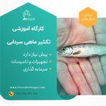 تقویم آموزشی 2