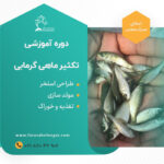 دوره آموزشی تکثیر ماهی گرمابی