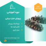 دوره آموزشی پرورش صنعتی خیار دریایی