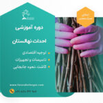 دوره آموزشی احداث نهالستان