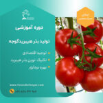 دوره آموزشی تولید بذر