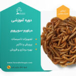 دوره پرورش میلورم و سوپرورم