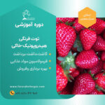 کارگاه آموزشی کشت گلخانه هیدروپونیک توت فرنگی