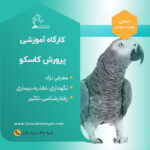 دوره آموزشی پرورش کاسکو