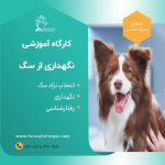 کارگاه آموزشی  نگهداری و آشنایی حیوانات خانگی (سگ)