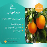 دوره آموزشی شناسایی و مبارزه با آفات مرکبات