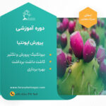 دوره آموزشی پرورش کاکتوس اپونتیا