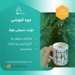 دوره آموزشی تولید اقتصادی فرآورده های بلوط