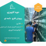 دوره کارورزی پرورش قارچ دکمه ای