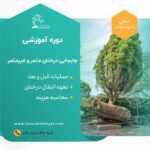 جابجایی-درختان-مثمر-و-غیرمثمر