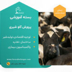 بسته جامع آموزشی پرورش گاو شیری