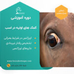 دوره آموزشی مبانی کمک های اولیه در اسب