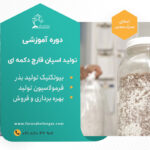 دوره آموزشی تولید اسپان قارچ
