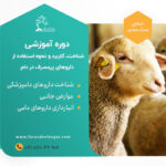 دوره آموزشی شناخت، کاربرد و نحوه استفاده از داروهای پرمصرف در دام