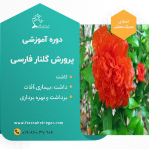 Persian Gulnar
