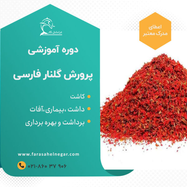 Persian Gulnar