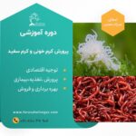 دوره آموزشی پرورش کرم سفید و کرم خونی | آموزشگاه فراساحل نگار