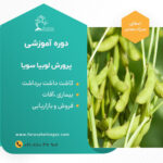 دوره آموزشی لوبیا سویا
