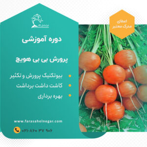 دوره آموزشی پرورش بی بی هویج