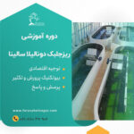 دوره آموزشی پرورش ریزجلبک دونالیلا