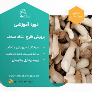 دوره آموزشی پرورش قارچ شاه صدف