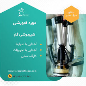 کارگاه آموزشی شیردوشی گاو