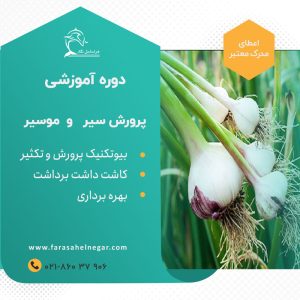 دوره آموزشی  کاشت سیر و موسیر