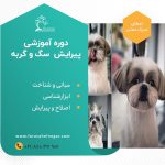 دوره آموزشی پیرایش پت