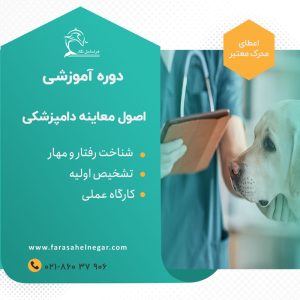 اصول معاینه دامپزشکی