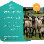 کارگاه آموزش جامع گوسفند داشتی